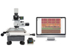 Lab High Precision Metallurgical Microscope Tester with Digital Camera