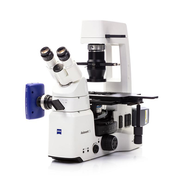 Zeiss inverted microscope Axio Observer 5