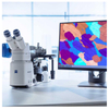 Zeiss inverted microscope Axio Observer 5