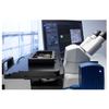 Zeiss inverted microscope Axio Observer 5