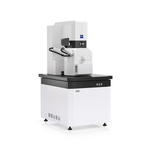 Zeiss scanning electron microscope SEM
